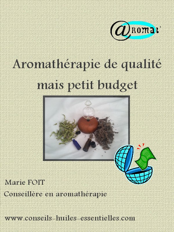 Adaptateur Secteur/Chargeur Pour Caméra De Vidéoconférence Polycom MPTZ-9 - Occasion Fonctionnel