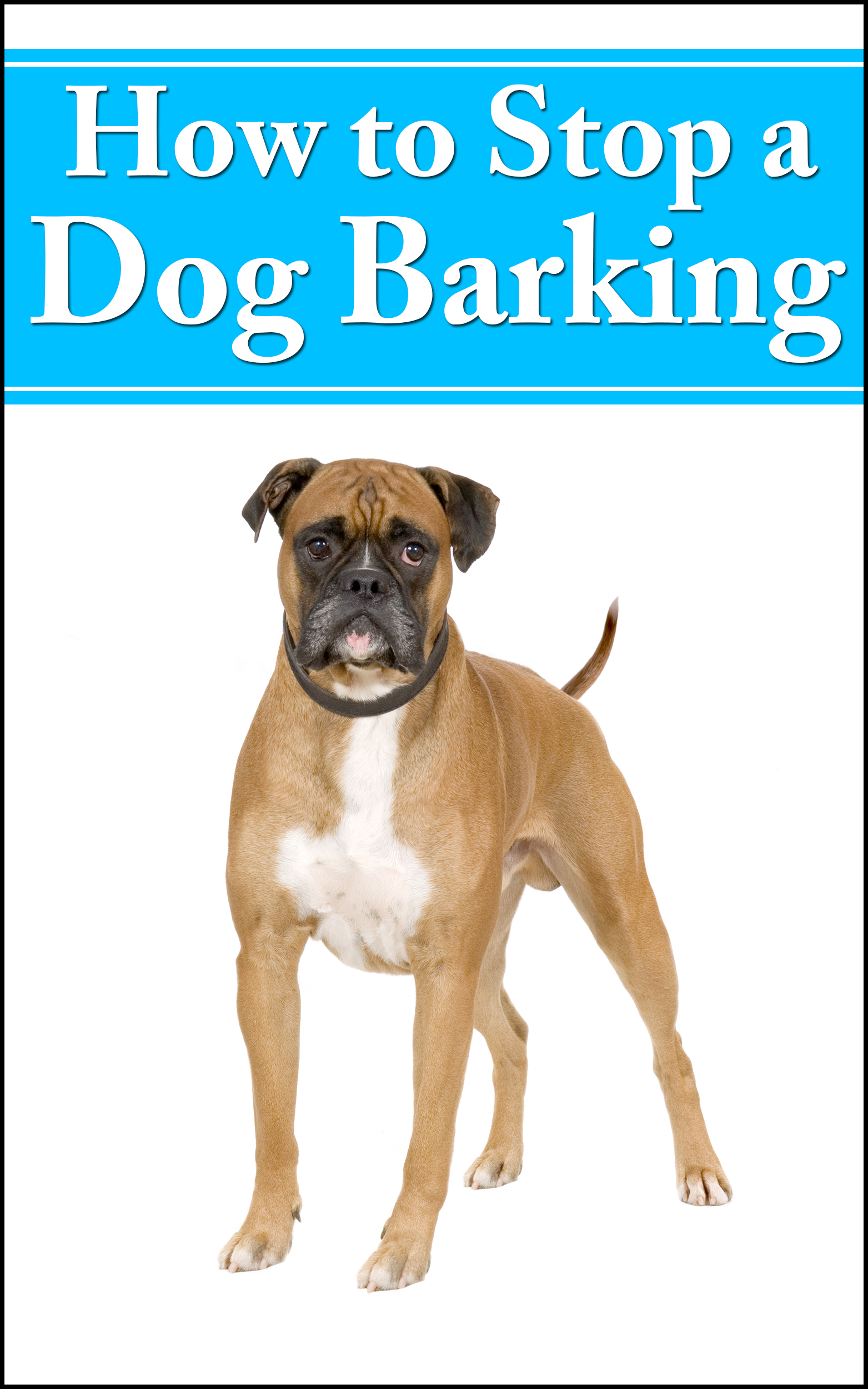 How To Stop A Dog Barking! Payhip