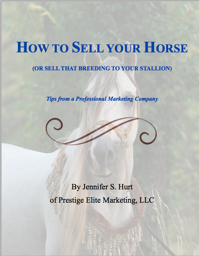How to Sell Your Horse (or sell that Breeding to your Stallion) Payhip