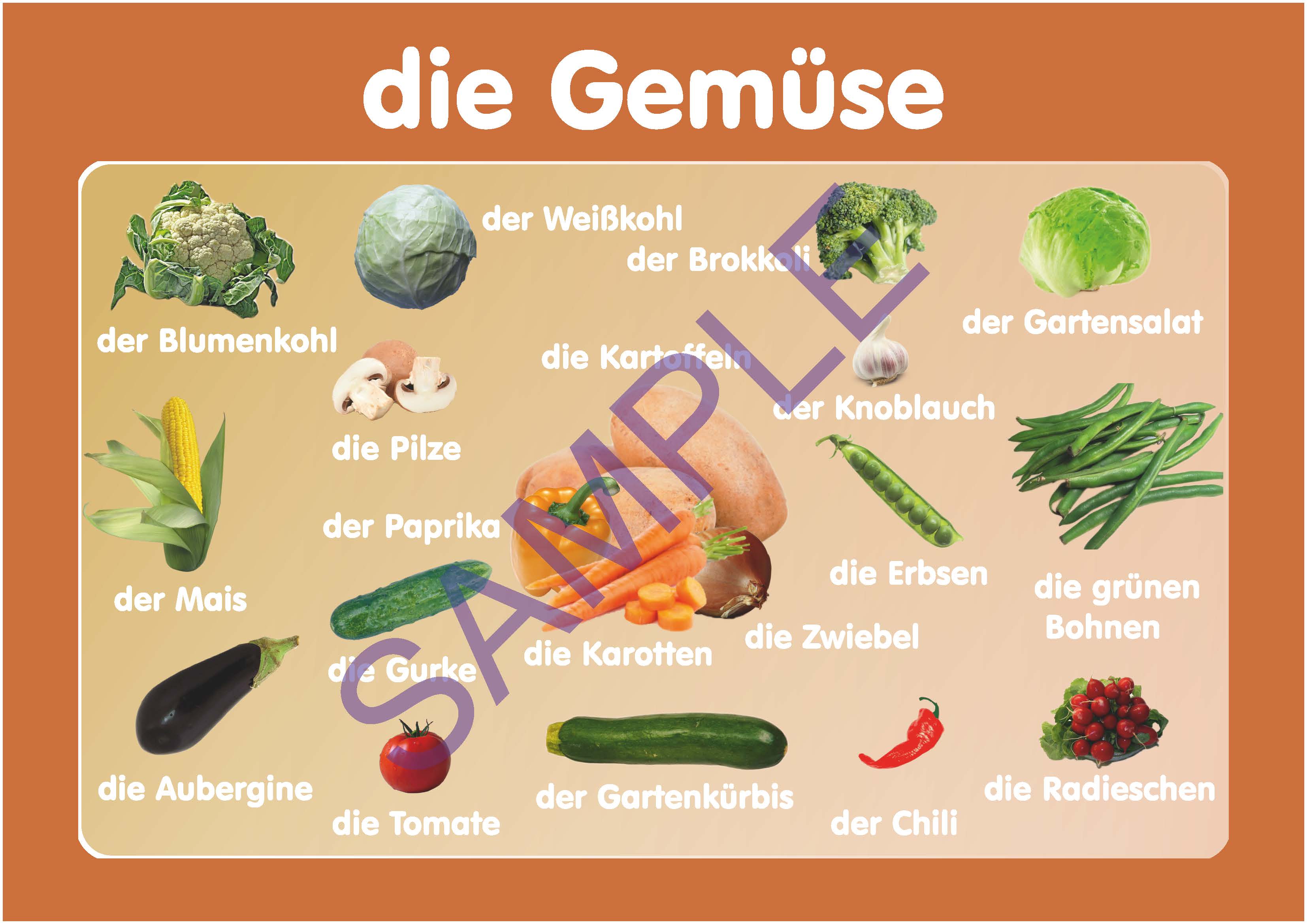 Vocabulary Vegetables Poster in German. A3 size. Primary German Payhip